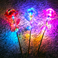 Twilight Roses (3 Pack)