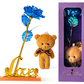 Forever Space rose (included teddy bear)